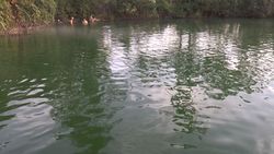 TORAGET hot spring, source of fountain Lake Green Lake-1 Indonesia-Manado