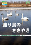 【商业】自然放松专业版系列5 候鸟野花